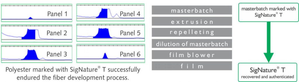 sig-t-case-study1